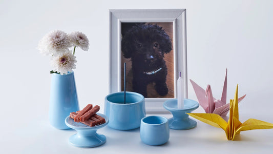 Hommage à nos compagnons : 5 idées uniques pour conserver le souvenir d’un animal disparu